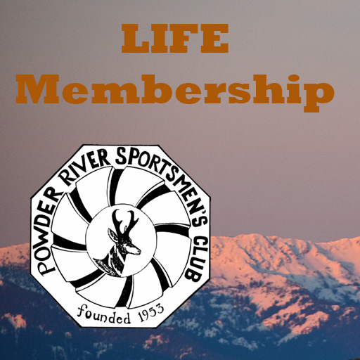 4. Life Membership
